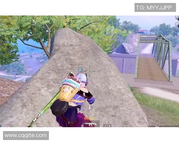 聚焦和平精英：探索WE战队如何在赛场上展现团队力量与合作精神